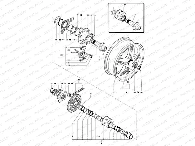 Rear Wheel Assembly
