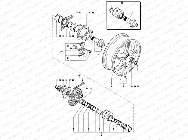 Rear Wheel Assembly