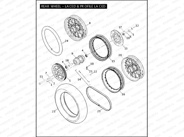 REAR WHEEL - LACED & PROFILE LACED