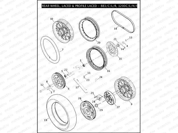 REAR WHEEL, LACED & PROFILE LACED - 883/C/L/R, 1200C/L/N/R