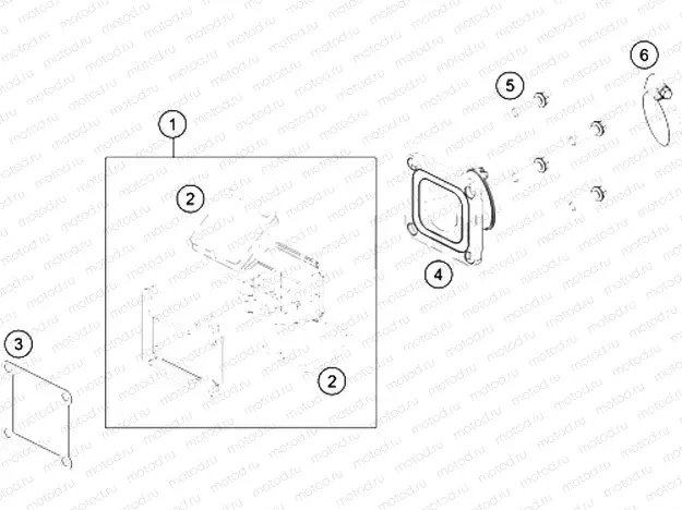 REED VALVE CASE|Engine|30
