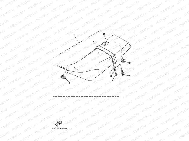 Sheet