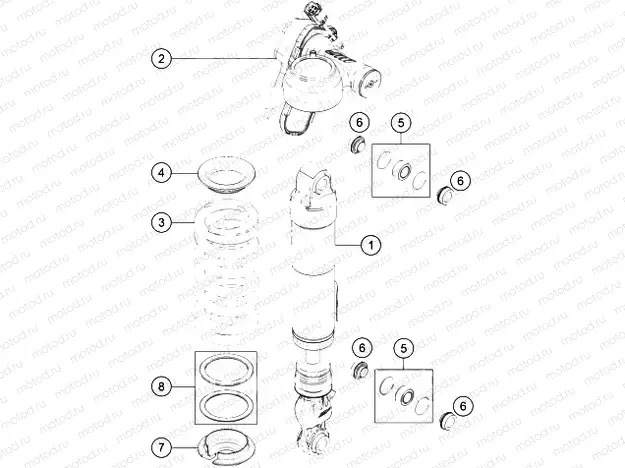 SHOCK ABSORBER DISASSEMBLED