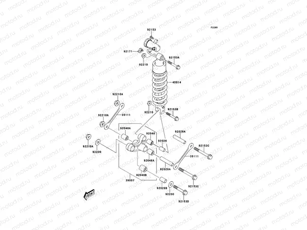 Shock Absorber(s)