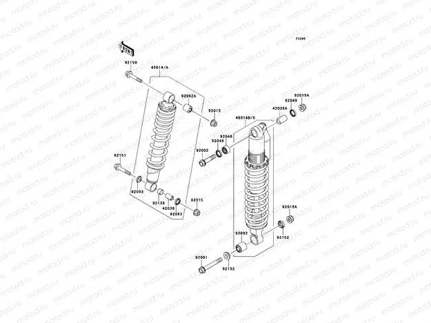 Shock Absorber(s)