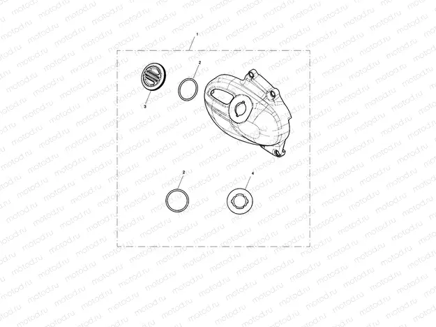 Sprocket cover, chrome