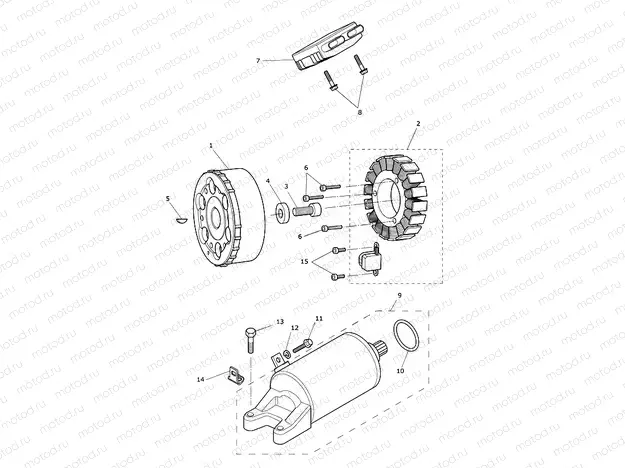 Starter & Alternator