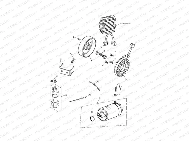 Starter & Alternator