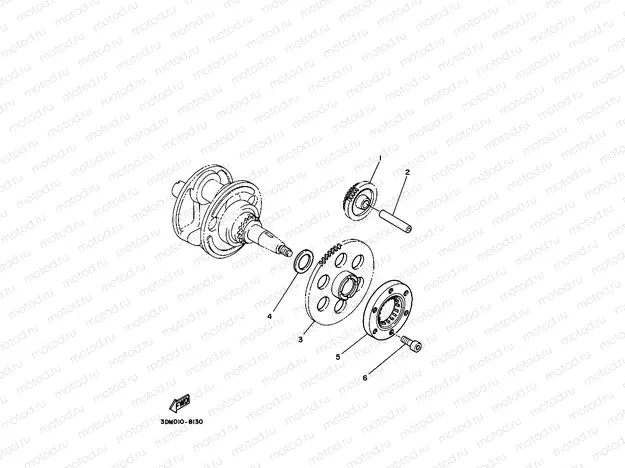 STARTER CLUTCH