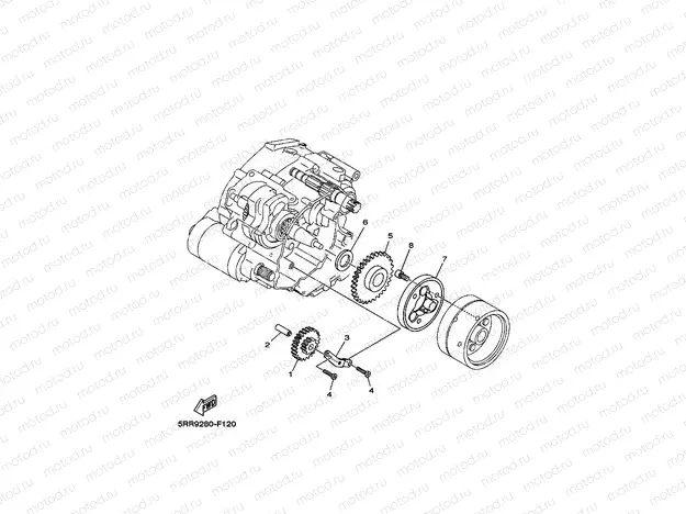 STARTER CLUTCH