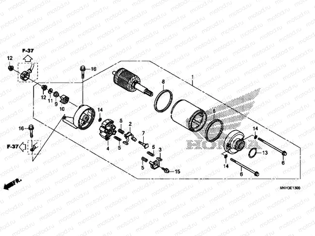 STARTER MOTOR