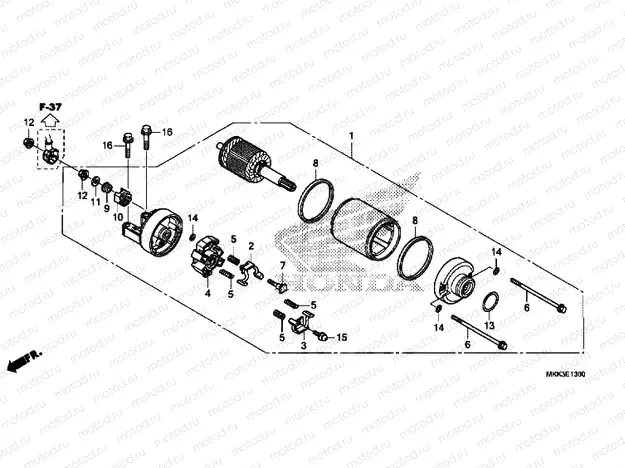 STARTER MOTOR