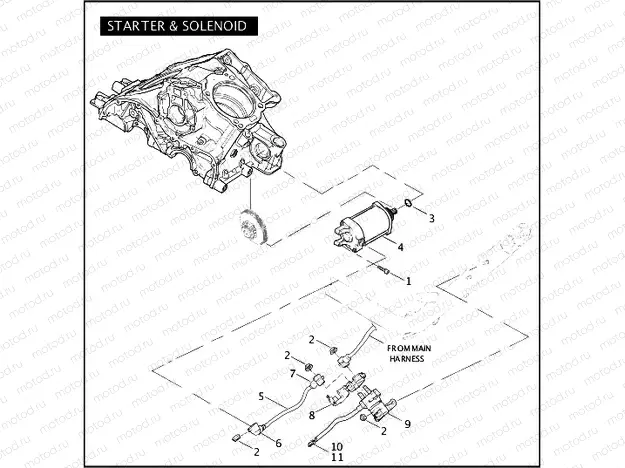 STARTER & SOLENOID