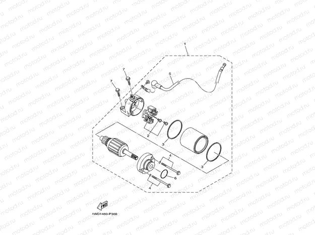 STARTING MOTOR