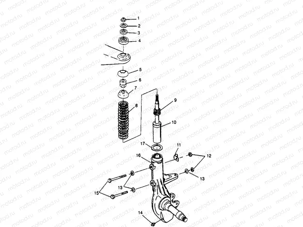 STRUT Magnum 2X4 W967544 (4936033603B002) | STRUT Magnum 2X4 W967544 (4936033603B002)