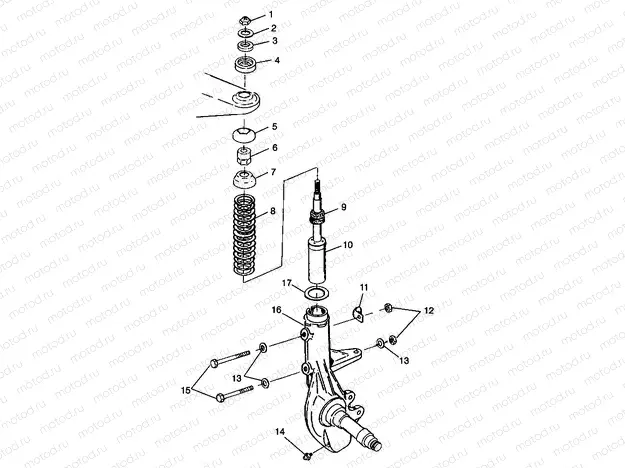 STRUT Magnum 2X4 W98AA42A (4945524552B002) | STRUT Magnum 2X4 W98AA42A (4945524552B002)