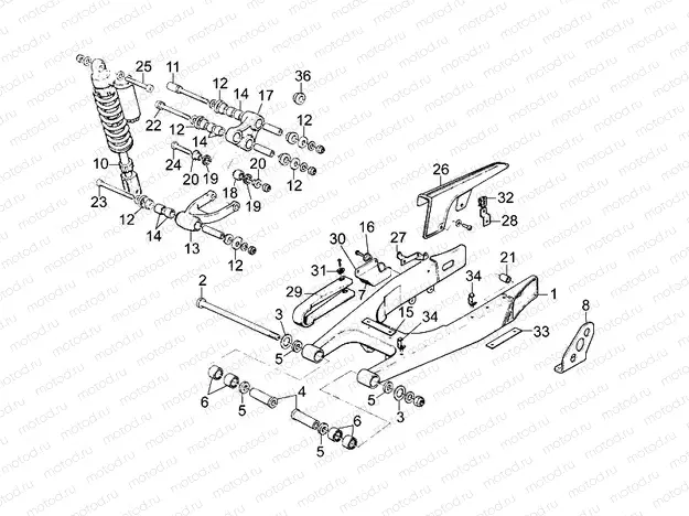 Swing arm - Shock absorber