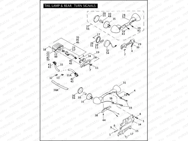 TAIL LAMP & REAR TURN SIGNALS (1 OF 2)