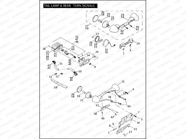 TAIL LAMP & REAR TURN SIGNALS (2 OF 2)