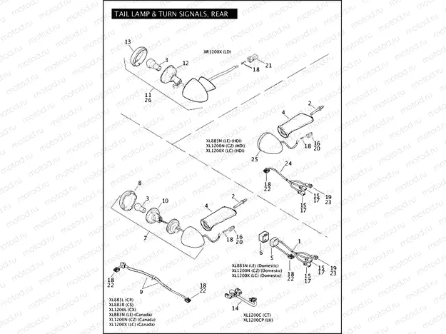 TAIL LAMP & TURN SIGNALS, REAR