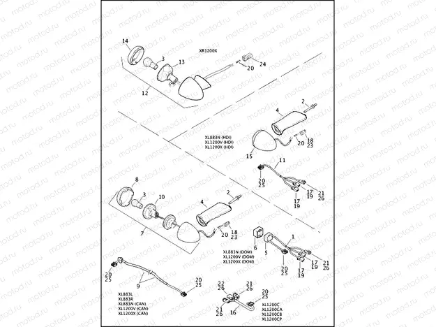 TAIL LAMP & TURN SIGNALS, REAR