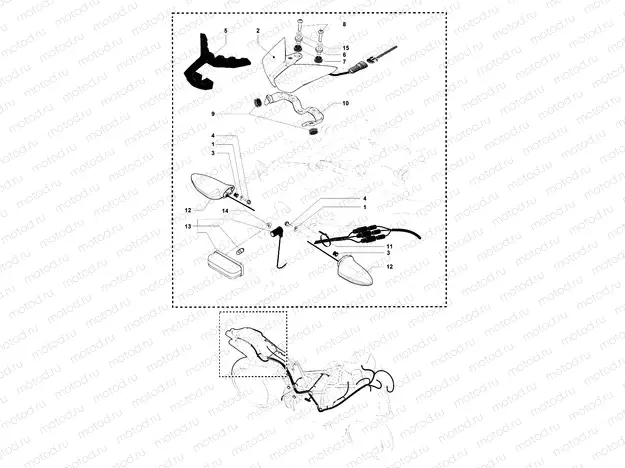Taillight - Indicators