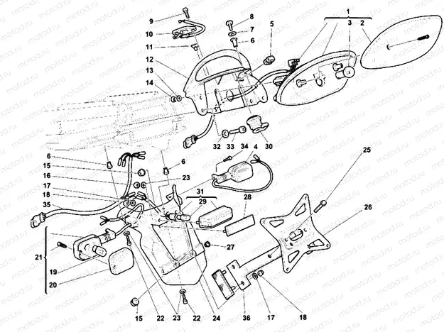 TAILLIGHT » LIGHTING SYSTEM