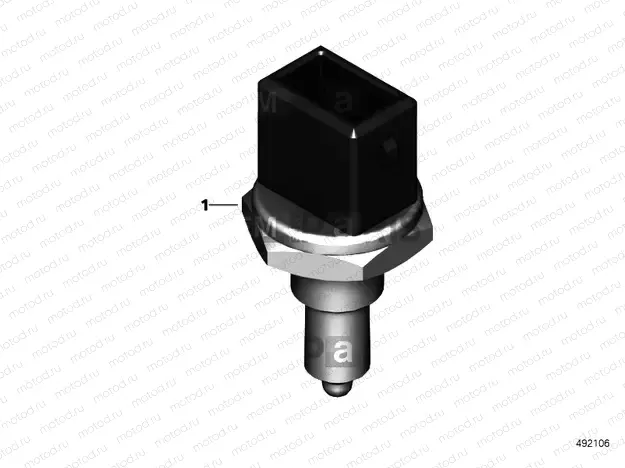 Temperature sensor, coolant