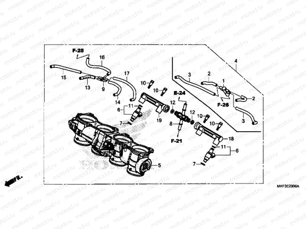 THROTTLE BODY