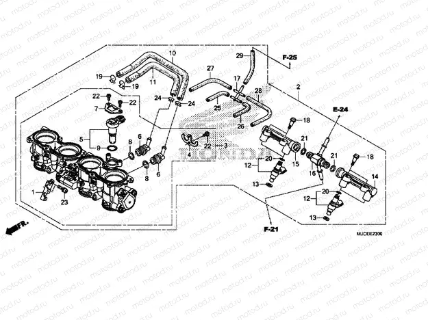 THROTTLE BODY
