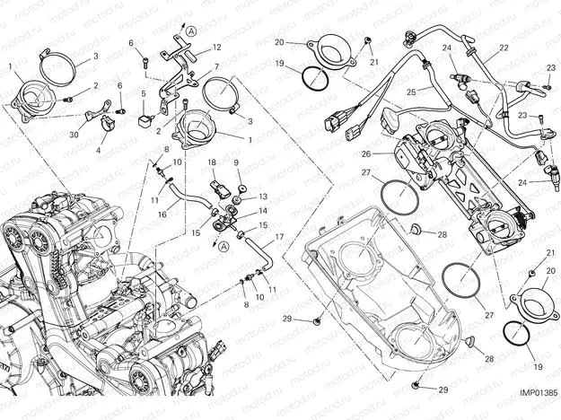 THROTTLE BODY