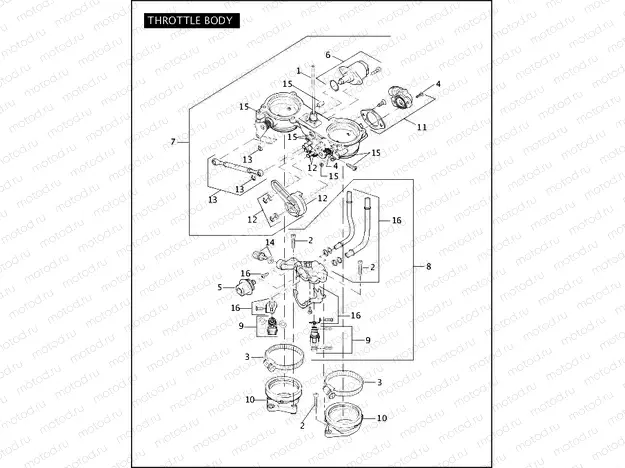 THROTTLE BODY