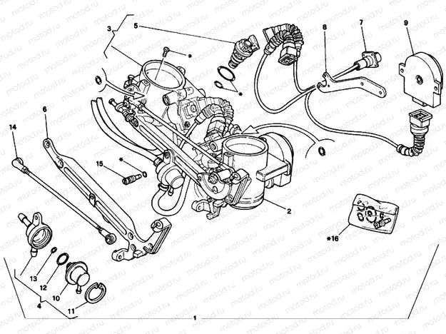 THROTTLE BODY » INTAKE, CARBURETTOR
