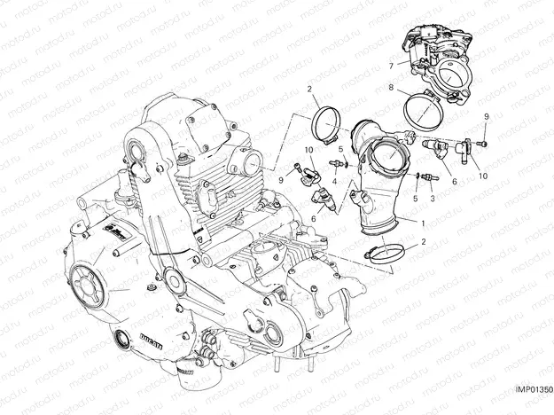 THROTTLE BODY [MOD:SCR11SPR]