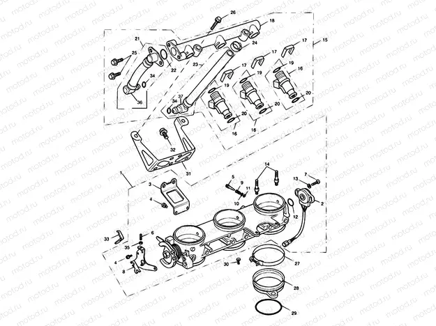Throttles, Injectors 207554