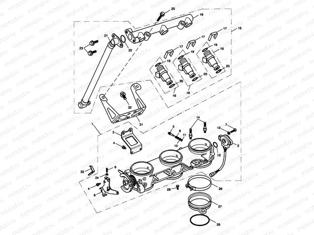 Throttles, Injectors 207555