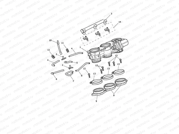 Throttles, Injectors & Fuel Rails