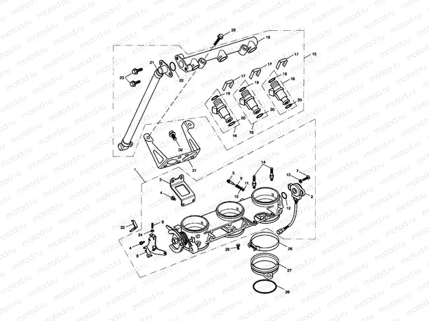Throttles/Injectors and Fuel Rail 207555 >