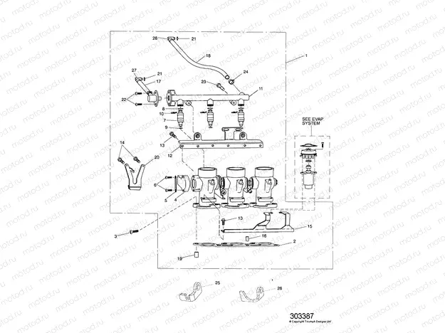 Throttles,Injectors & Fuel Rail