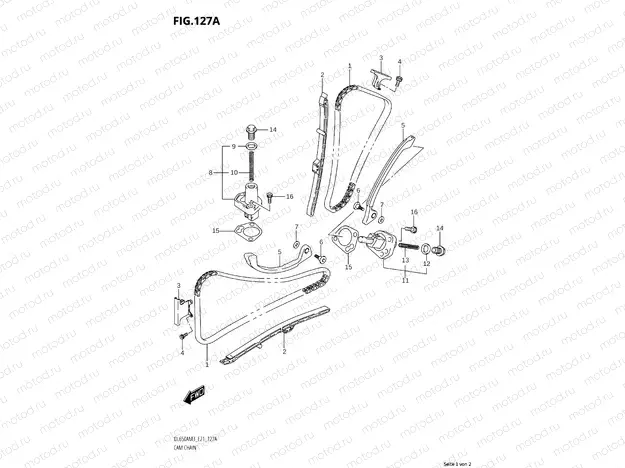 TIMING CHAIN