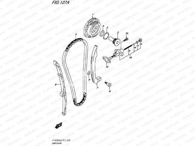 TIMING CHAIN