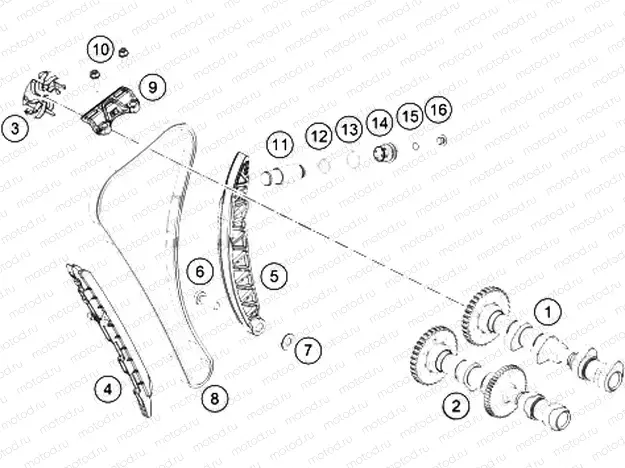 TIMING DRIVE