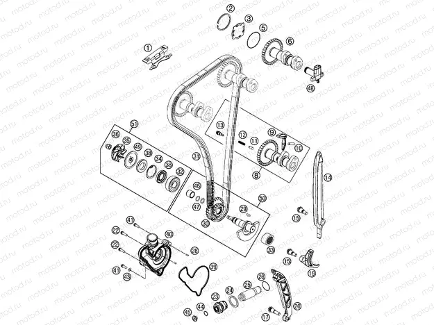 TIMING DRIVE|Engine|36