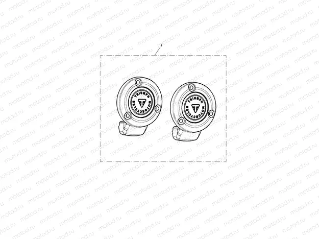 TPS Cover