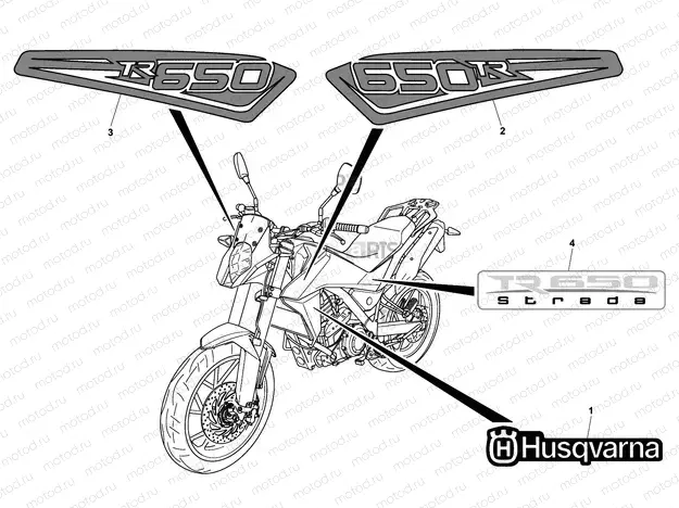 TRANSFERS (STRADA)