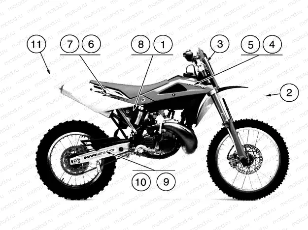 TRANSFERS Y/B (USA)