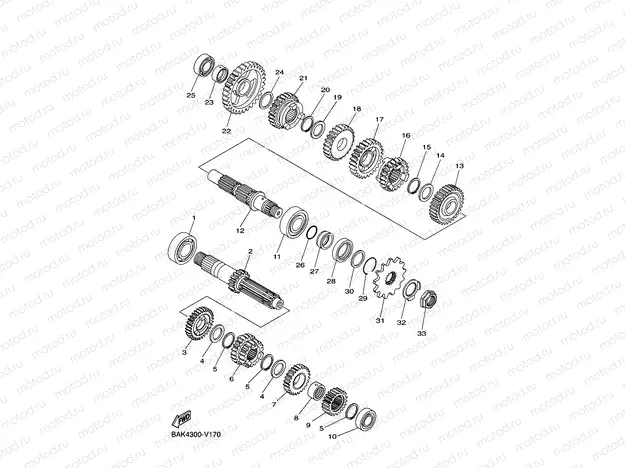 TRANSMISSION