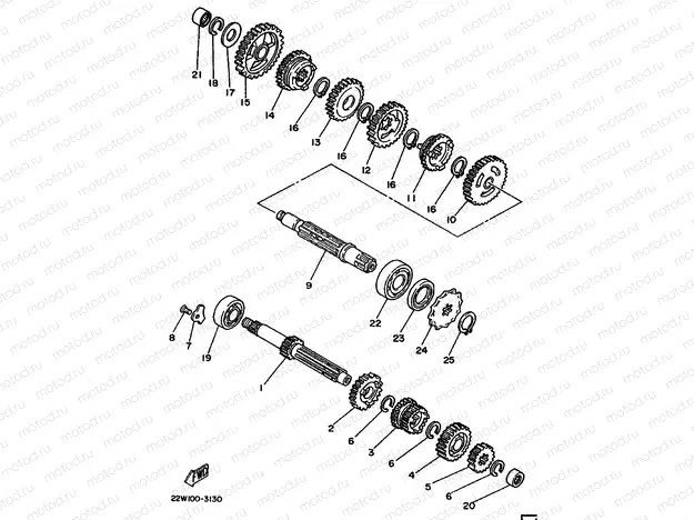 TRANSMISSION