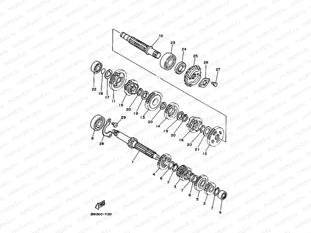 TRANSMISSION