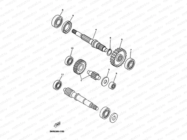 TRANSMISSION